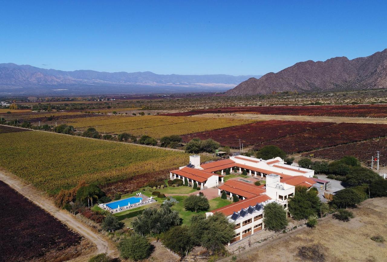 Vinas De Wine 3*